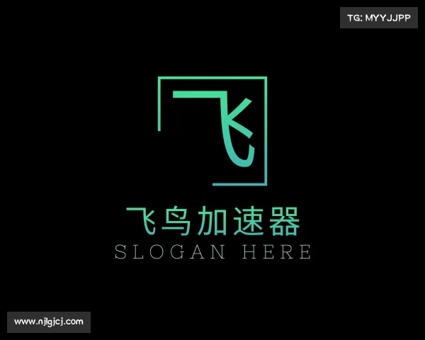 发现飞鸟加速器